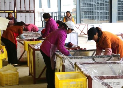 麥積區首家青年創業就業聯盟示范基地掛牌(圖)